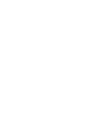 4_BICE