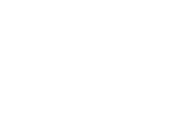 RedCapital