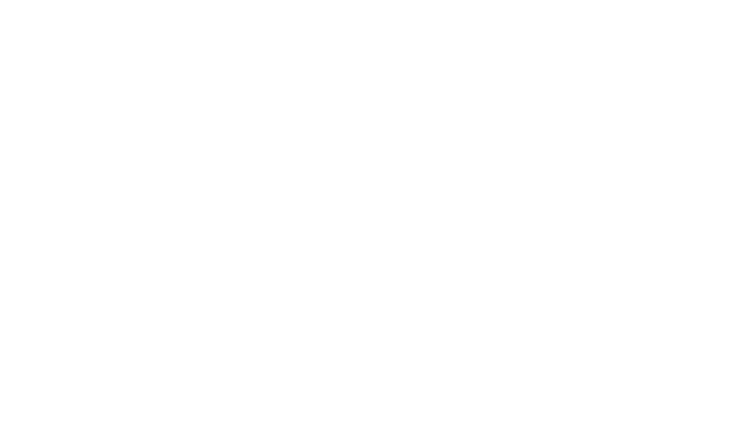 Movizzon