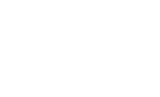 Global66