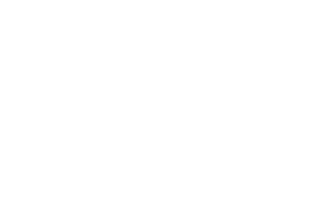 Littio