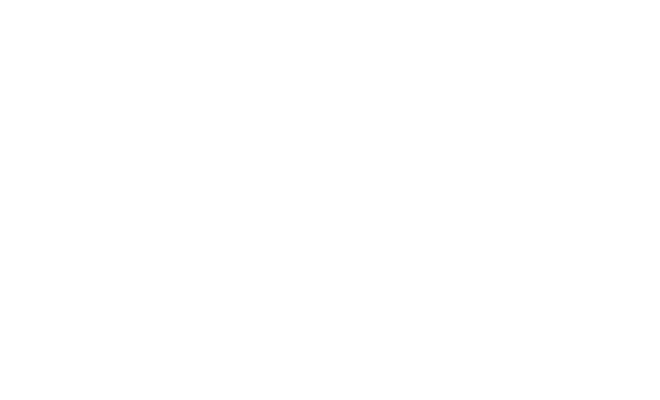 Xepelin
