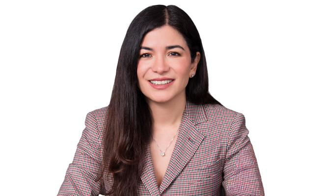 Viviana Araque Mendoza 