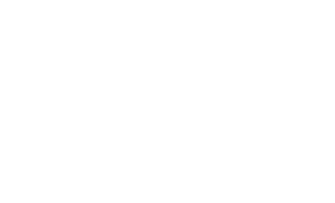 Microserfin