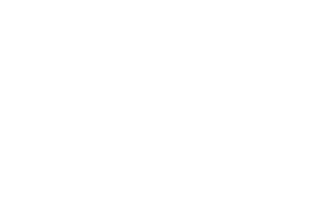 Administración de Fondos de Pensiones y Cesantías Porvenir