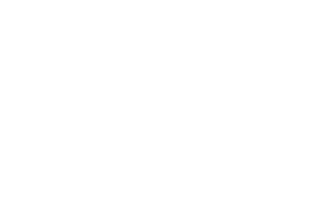 Invex Operadora