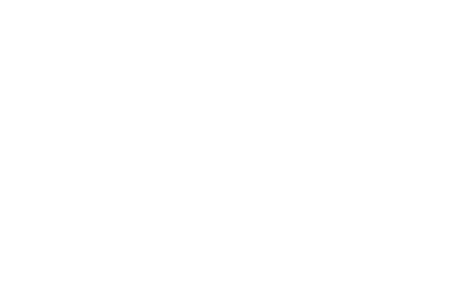 Banco Centroamericano de Integración Económica (BCIE)