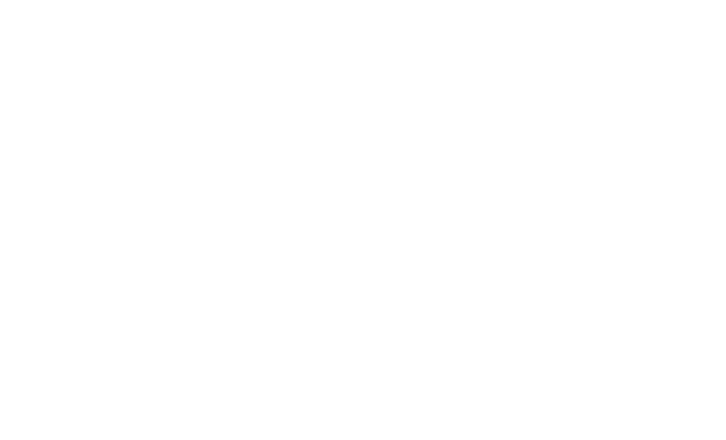 Equipo de TI