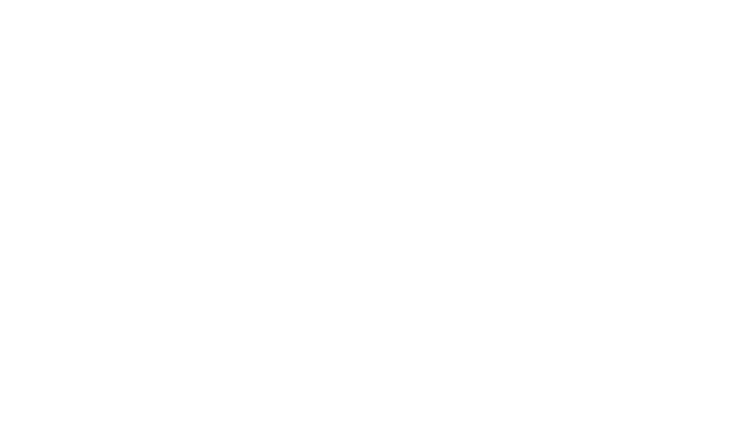 Grupo Petersen