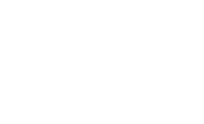 BICE