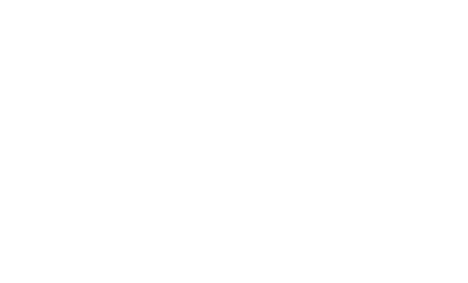 Finsus