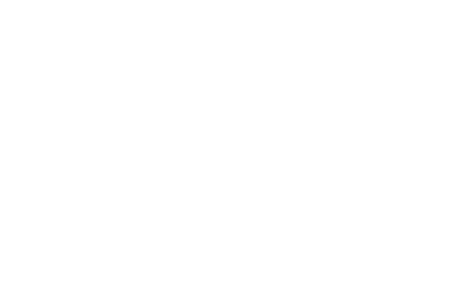 Zigi