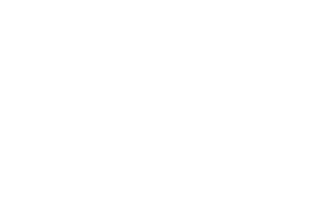 Revolut