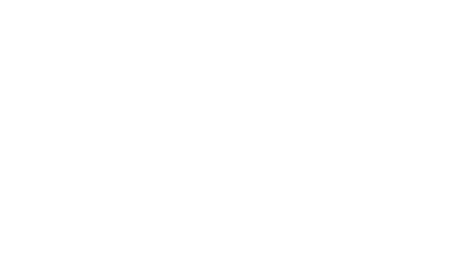 Banco FIE