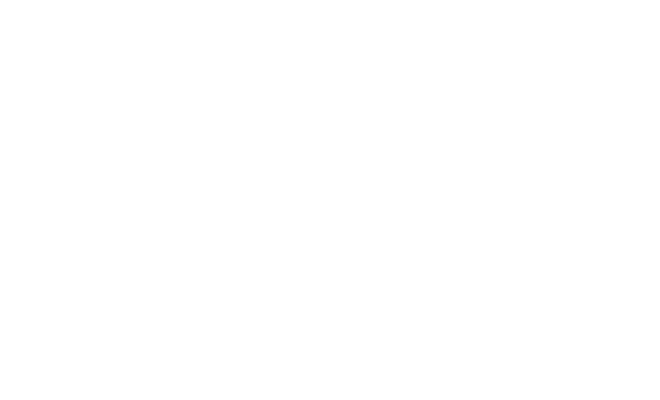 Montepío Luz Saviñón I.A.P
