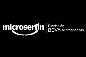 Logo Microserfin