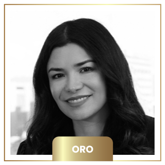 Viviana Araque Mendoza Viviana Araque Mendoza