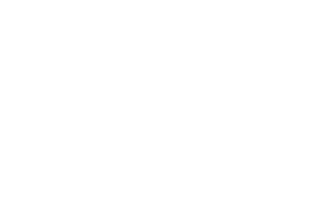 BIESS