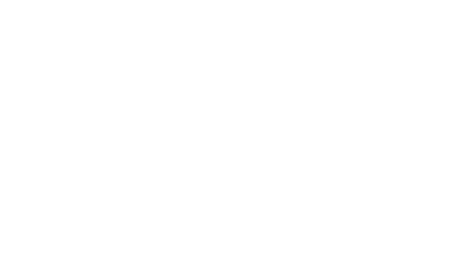 NFD S.A.