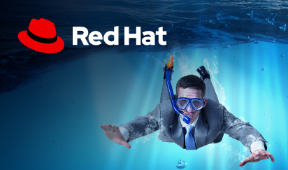 DD_REDHAT_WEB_GENERAL (1)