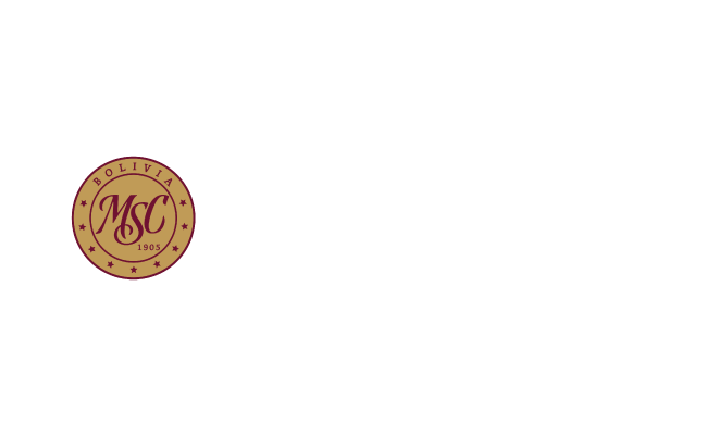 Mercantil Santa Cruz Seguros Y Reaseguros Generales S.A.