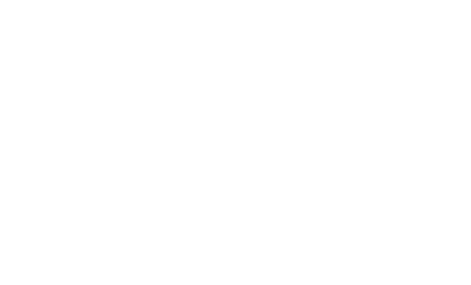 Finsus