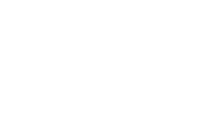Niu S.A. de C.V.