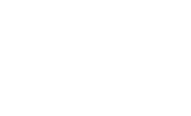 Banco del Austro S.A.