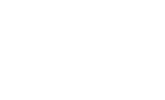 Porvenir