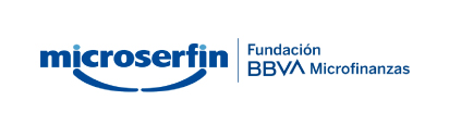 logo_microserfin