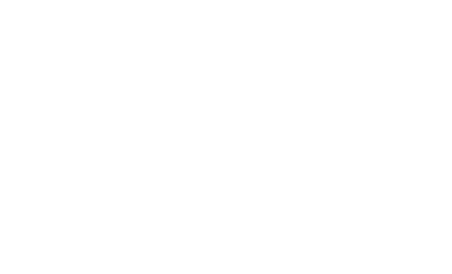 Bonanza Score