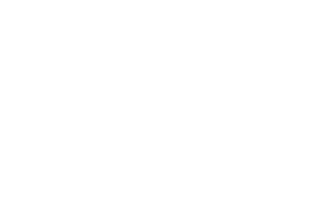 Maximo Pay