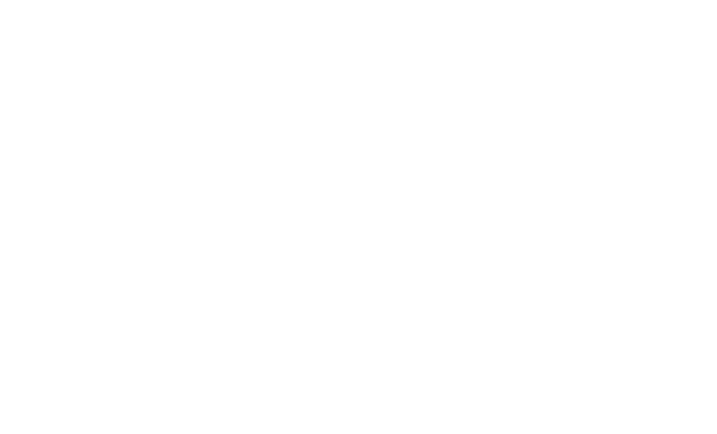 Movizzon