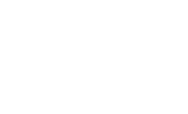Provenir